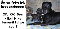 foto galerija