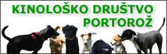 KD Portoroz